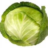 Da li je kupus moguć za trudnice: koristi i štete